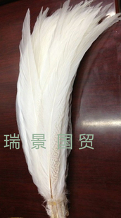 正品特价促销 各种长度 天然银鸡尾 羽毛 银鸡尾 野鸡尾 翎子