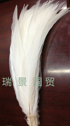 正品特价促销 各种长度 天然银鸡尾 羽毛 银鸡尾 野鸡尾 翎子
