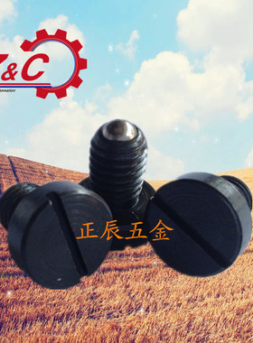 一字槽螺纹销带底座球头柱塞PBSH/PBSHS-4/5/6/8/10/12