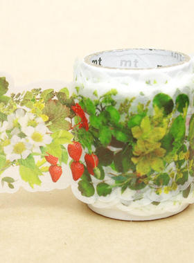 mt 日本和纸手撕装饰胶带 草蔓 花草 花园 百花草果 手帐 整卷 3m
