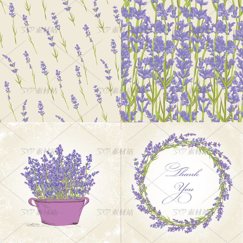 紫色薰衣草花卉花环卡片矢量图设计素材 8eps