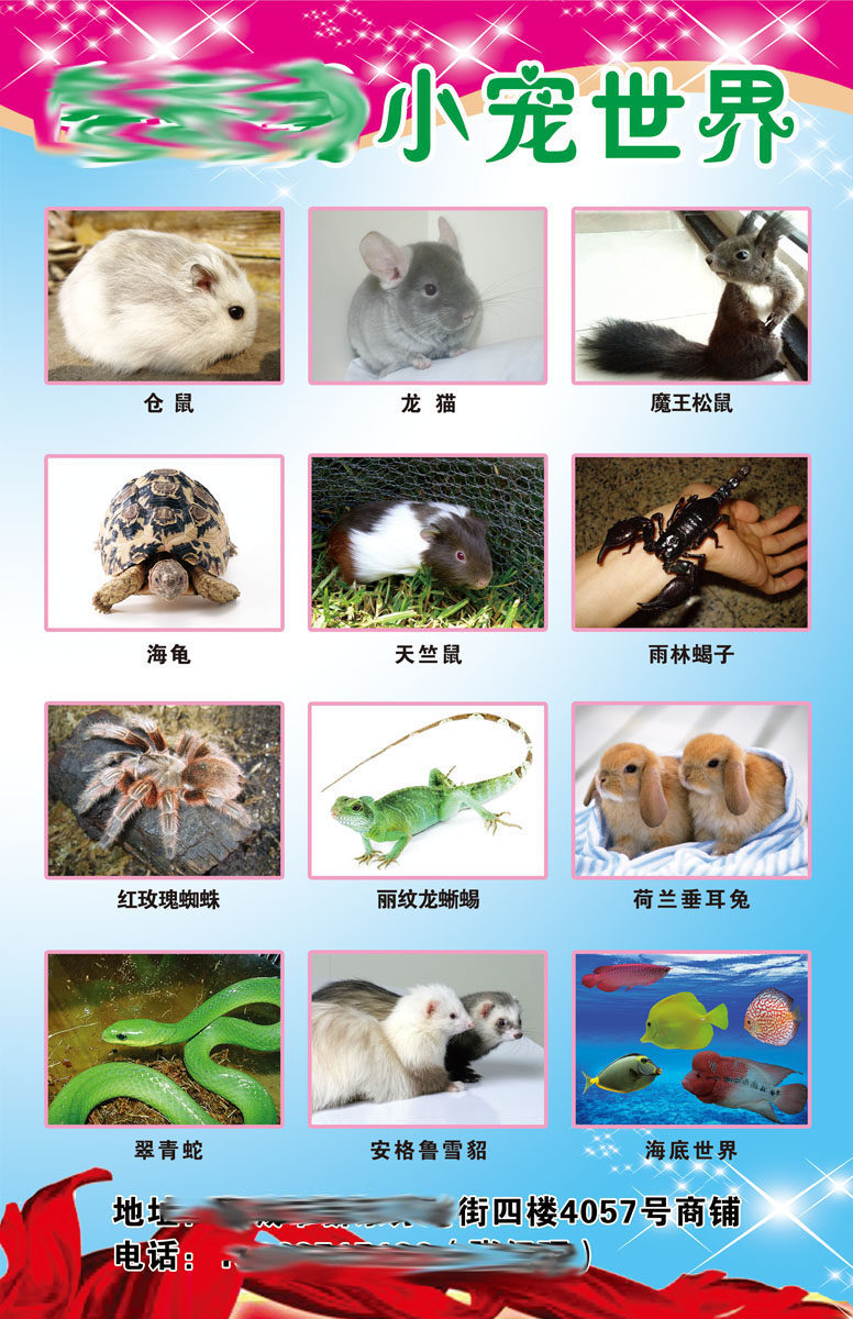 587办公装饰海报展板素材384宠物店宣传