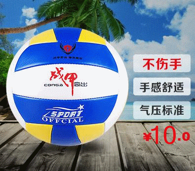 Ballon de volley-ball - Ref 2009041 Image 1