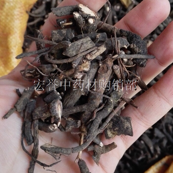 血党 中药材 野生 小罗伞 腺点紫金牛 山血丹