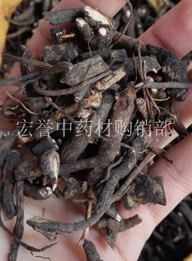 血党 中药材 野生 小罗伞 腺点紫金牛 山血丹