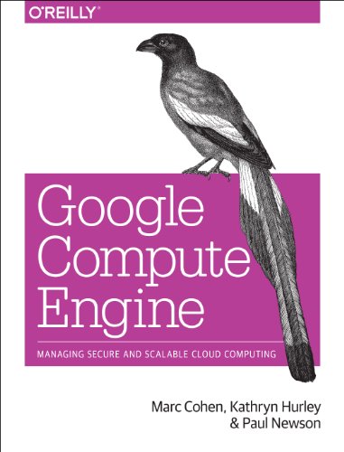 【预售】Google Compute Engine