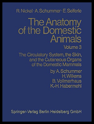 【预售】The Circulatory System, the Skin, and the Cutaneo