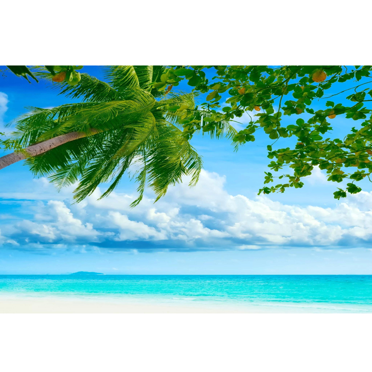 大海风景画海边风景海报定做蓝天白云地中海贴画居家装饰墙画定制