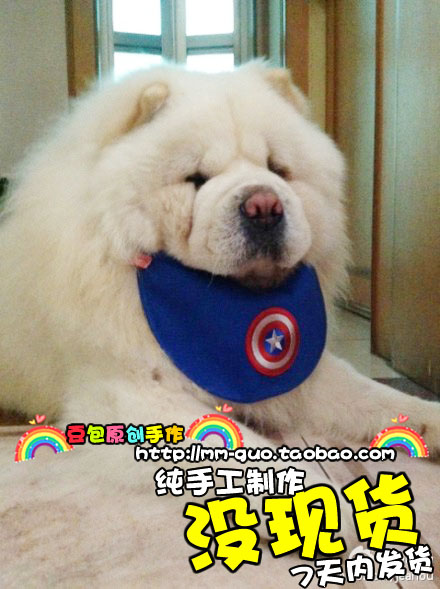 大型狗双面原创设计防水巾