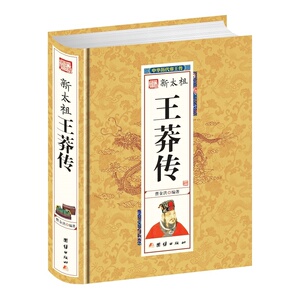 新太祖王莽传