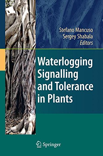 【预订】Waterlogging Signalling and Toleranc...