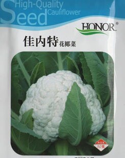 佳内特花椰菜北京华耐花椰菜