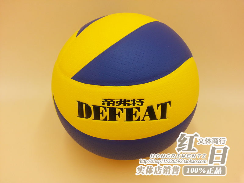 Ballon de volley - Ref 2016576 Image 1