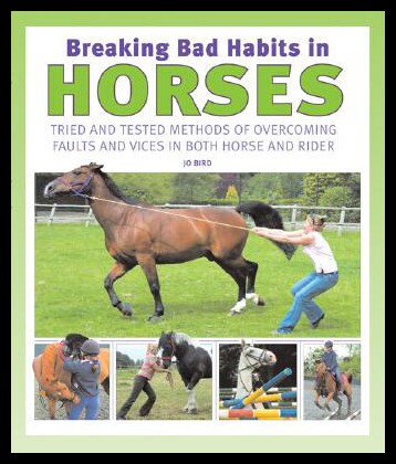 美国库房发货，通常付款后5-8周到货！