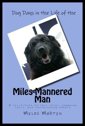 美国库房发货，通常付款后5-8周到货！