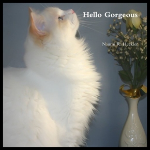 【预售】Hello Gorgeous