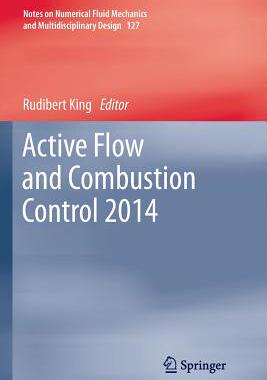 【预订】Active Flow and Combustion Control 2014