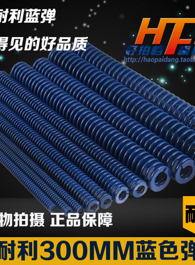 保耐利|日标模具弹簧|矩形扁线弹簧|蓝色弹簧|压缩|6-60*300mm长