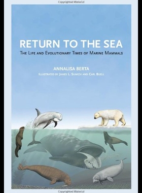 【预售】Return to the Sea: The Life and Evolutionary Time