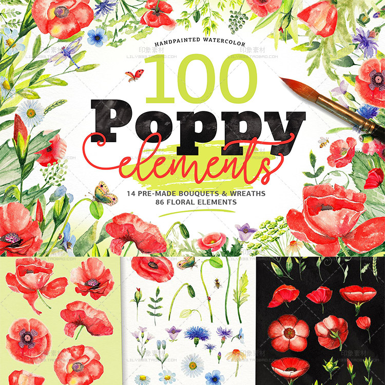 罂粟花叶草药蜜蜂蝴蝶婚礼请柬卡片海报手绘水彩PNG免抠设计素材