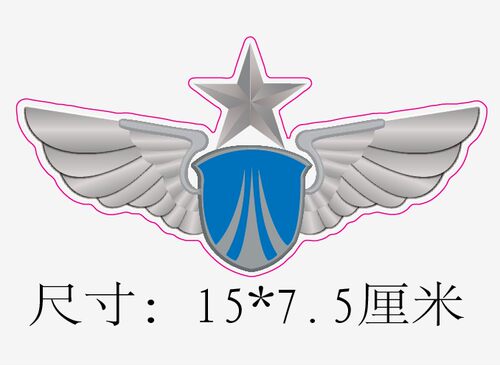 汽车反光贴纸车窗车尾车身车身
