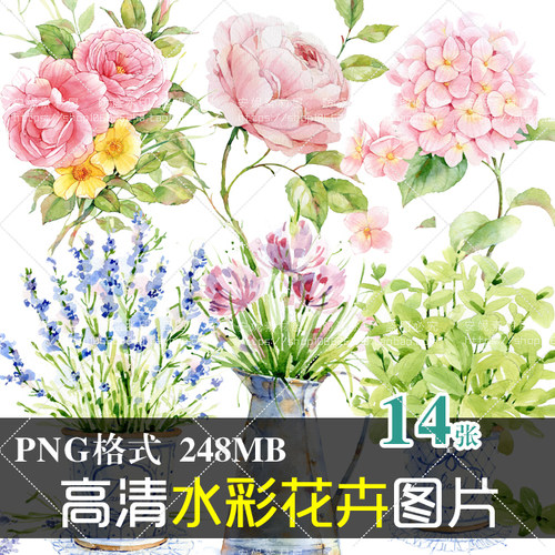 (J177)高清免抠PNG水彩手绘植物花卉花朵盆栽美化设计PS素材图片