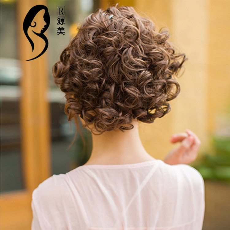 Extension cheveux - Chignon - Ref 237995 Image 1