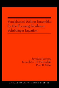 Soliton Semiclassical 预售 Focusing for the Ensembles