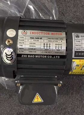 ZHI BAO减速马达 YY0.12KW-4P  2F28C  1:300 电机 ZL22C 1:100