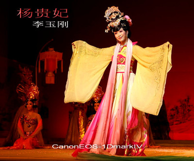 古典舞蹈杨贵妃民族风演出服饰