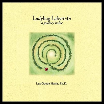 【预售】ladybug labyrinth