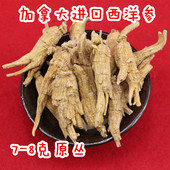 加拿大进口西洋参原丛花旗参原粒西洋参枝花旗参100克 花旗参原枝