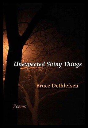 【预售】Unexpected Shiny Things