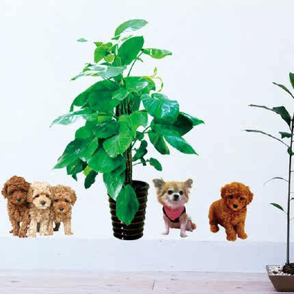可移除墙贴 宠物狗狗树叶 卡通儿童房卧室电视背景墙贴纸贴画家装