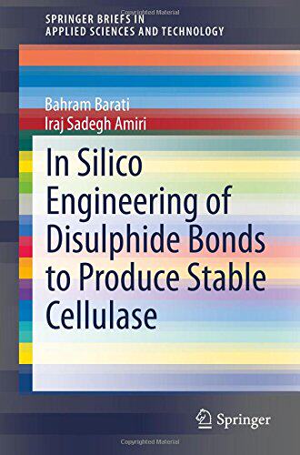 【预订】In Silico Engineering of Disulphide ...