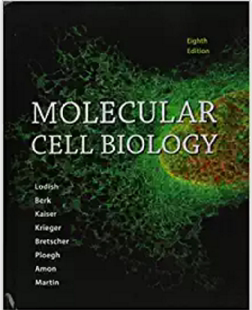 【预订】Molecular Cell Biology & Launchpad f...