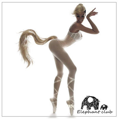 点缀 美化 生动方案