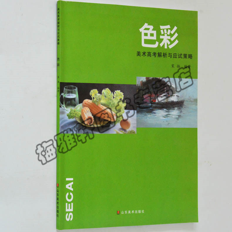 水粉画零基础入门个体静物调色彩书教你画色彩绘画艺术设计色彩学色彩