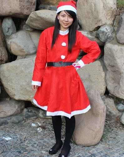 寻奇圣诞节衣服 女装 圣诞连衣裙 圣诞衣服服装 成人款女裙 - 封面