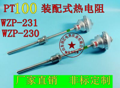 WZP-230/WZP-231/PT100铂热电阻PT100温度感测器固定螺纹热电阻