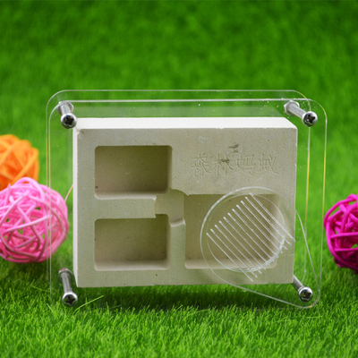 施王小型蚂蚁别墅小群落迷你蚁巢