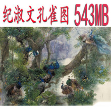 纪淑文高清国画图片素材孔雀图高清国画图片素材