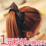 Extension cheveux - Chignon - Ref 239510 Image 11