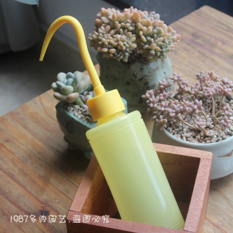 【1987.园艺】 出口日本 挤压式尖嘴浇水壶 多肉园艺工具300ML在类目 鲜花速递/花卉仿真/绿植园艺, 园艺用品, 洒水/浇水壶中 - 来自Buy2taobao.com提供专业的淘宝代购服务