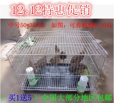 深层镀锌小鹌鹑育雏笼 蓝胸鹌鹑 笼子 豚鼠荷兰猪笼鹦鹉鸟笼