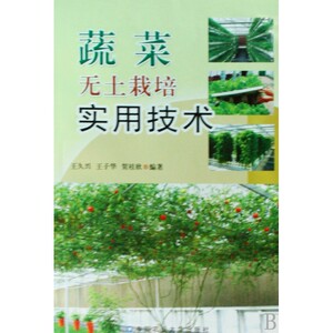 蔬菜无土栽培实用技术