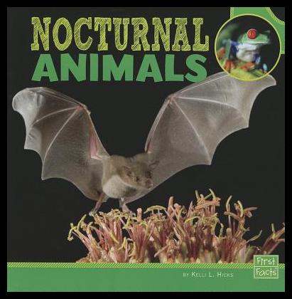 美国库房发货，通常付款后5-8周到货！