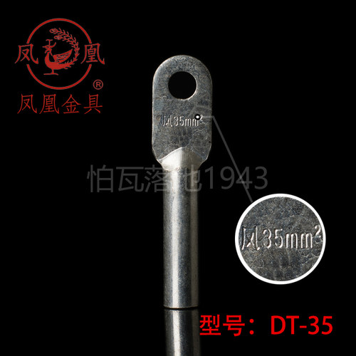 镀锡平方接线端子DT35一只