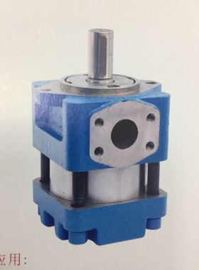 NB5G100F小型新款内齿合齿轮油泵液压泵航空油泵NCB2063PAFS01Y