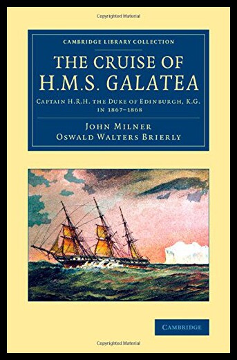 美国库房发货，通常付款后5-8周到货！